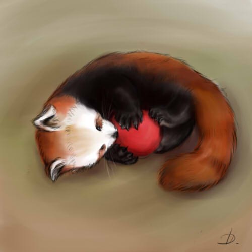 Иллюстрации: red